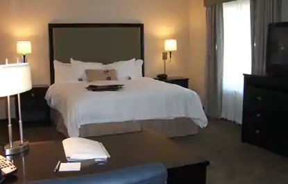 Hampton & Houston-bush Intercontinental Airport Hotel Houston